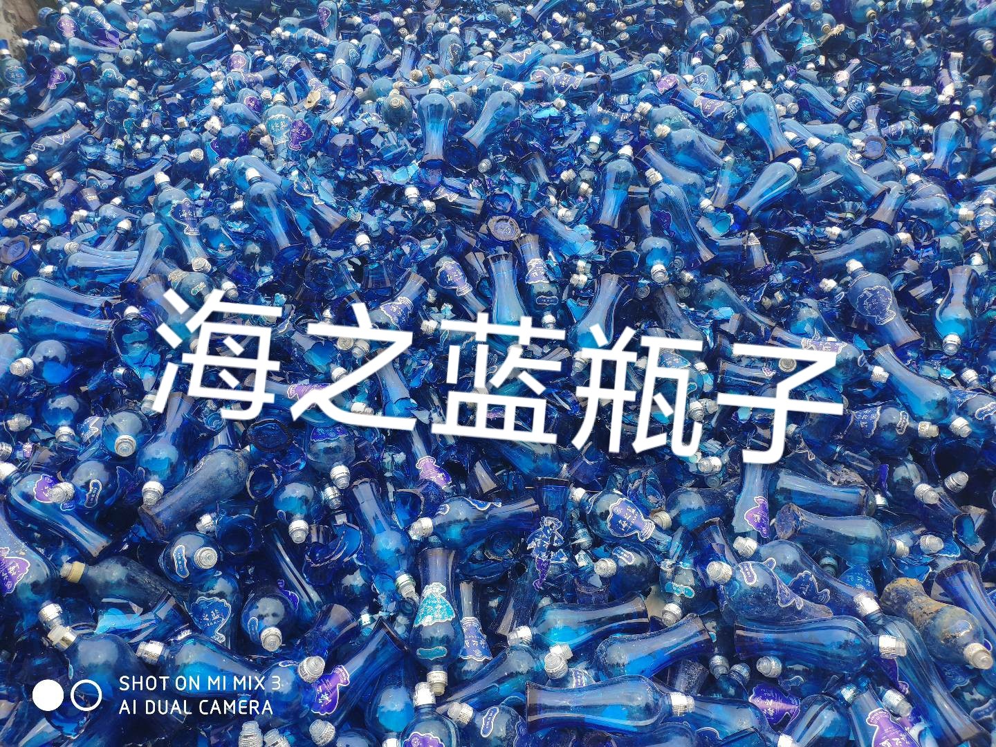 新沂海之蓝瓶回收
